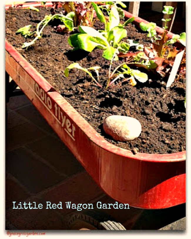 little red wagon garden