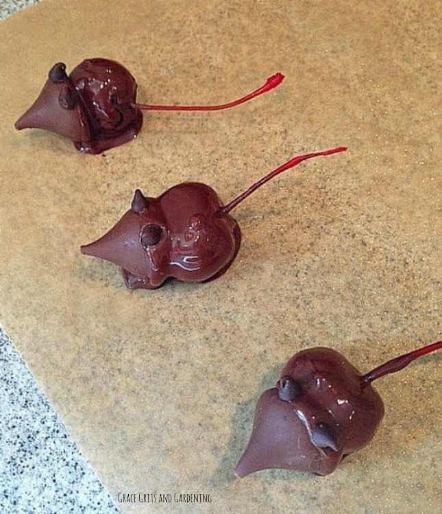 chocolate covered cherry chocolate mice - drying