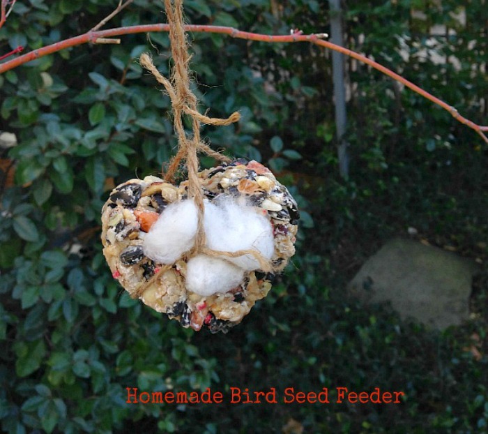 Bird Seed Feeders