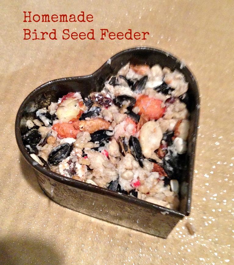 Homemade Bird Seed Feeder