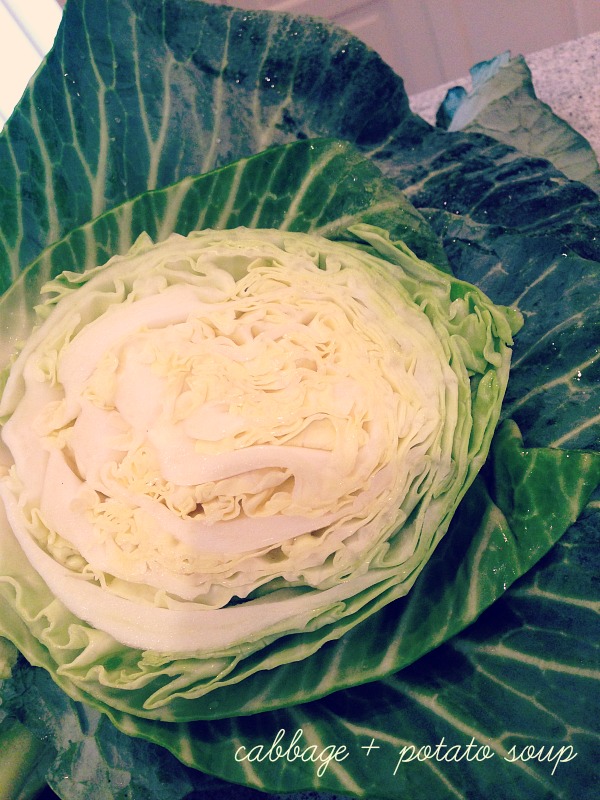 cabbage potato soup