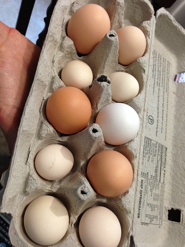 Munger Place Eggs