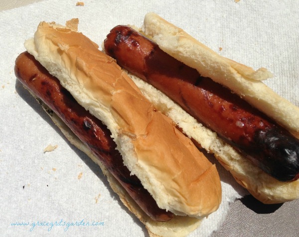 hot dogs - summer fun!