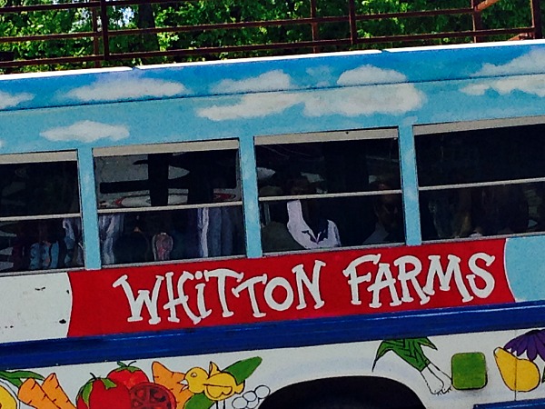 Whitton Farms