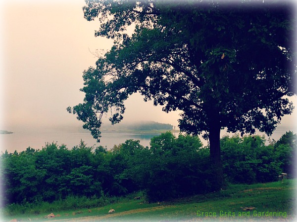Foggy Lake Morning