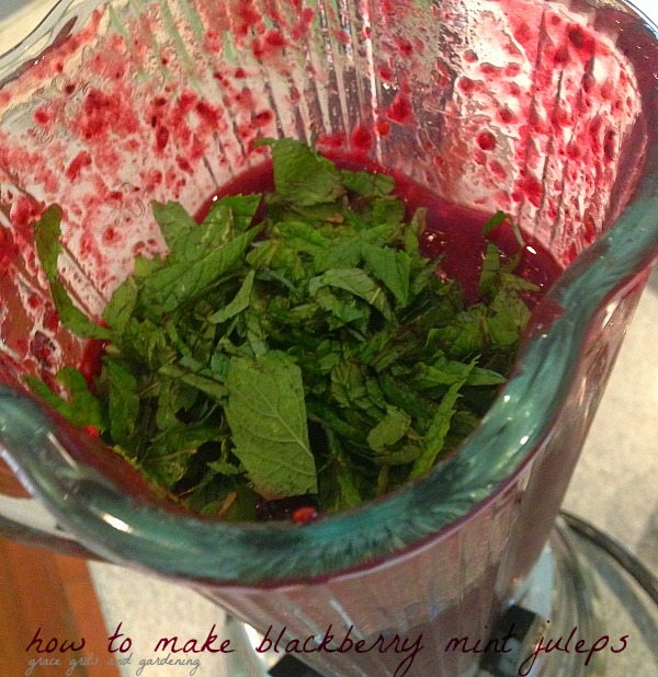 making blackberry mint juleps