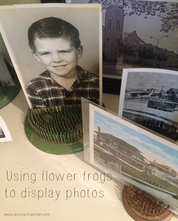 using flower frogs to display photos