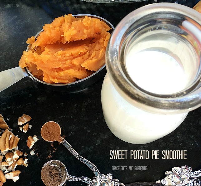 Sweet Potato Pie Smoothie - ingredients