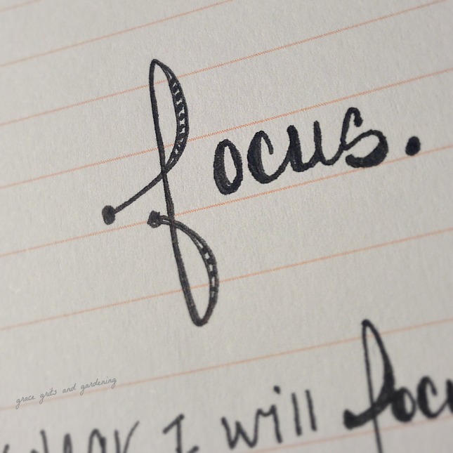 focus- one little word