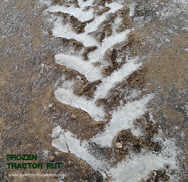 frozen tractor rut: farm art friday