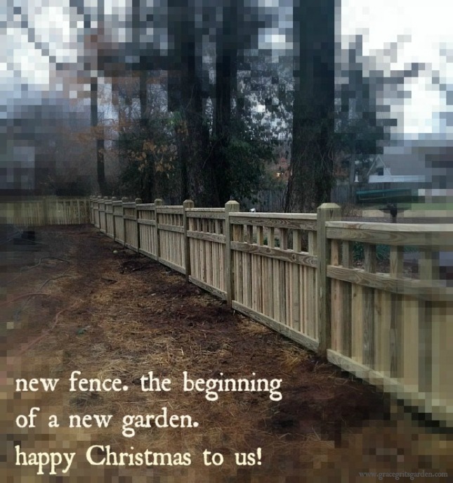 our new fence