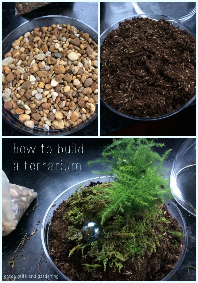 how to build a terrarium