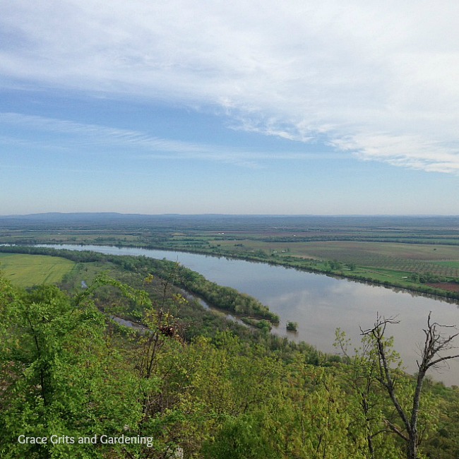 Arkansas River from Mount Petit Jean