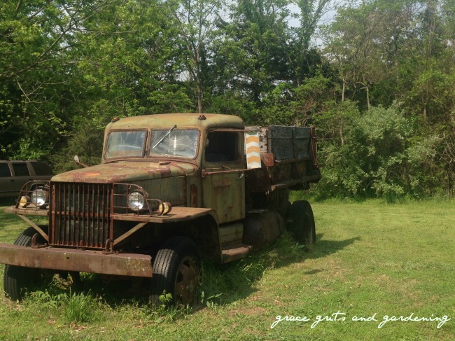 old truck at the peony farm, near Fayetteville Ar