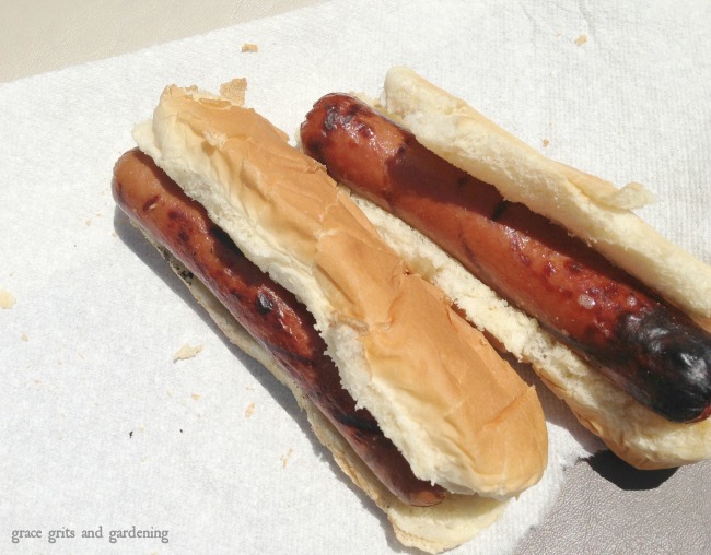 Grill hot dogs - lost art of summer