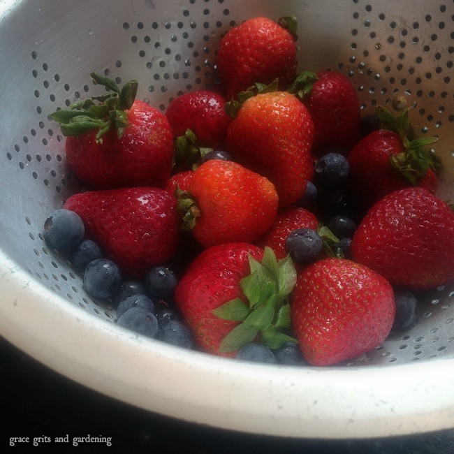 strawberries and blueberries in vintage colander