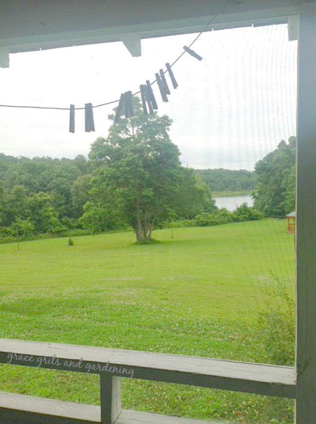 view from the screened porch