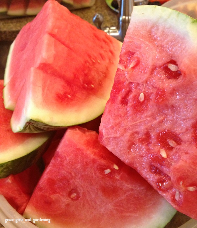 watermelon - the lost art of summer