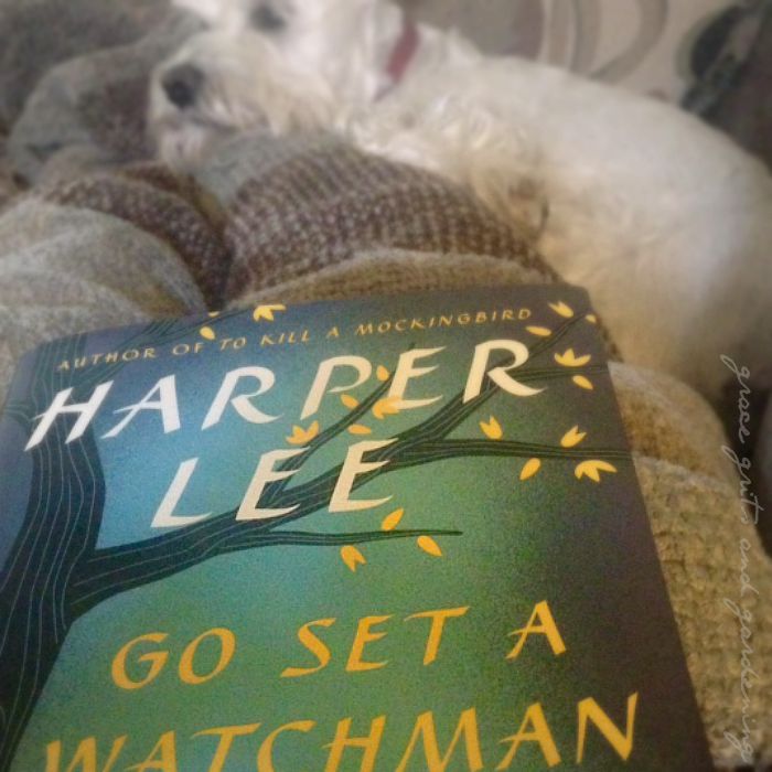 Go Set a Watchman - the good and not so good