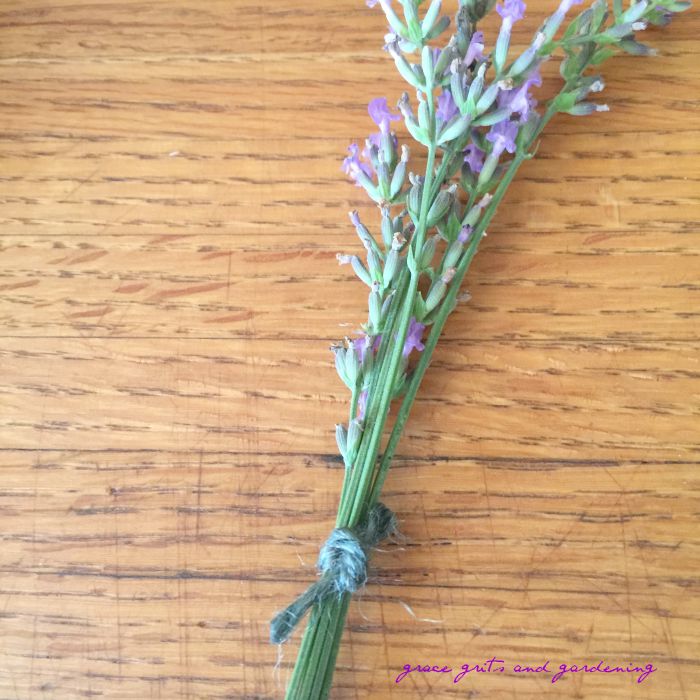 Lavender Nosegay