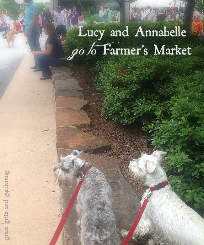 Lucy and Annabelle go to Downtown Fayetteville