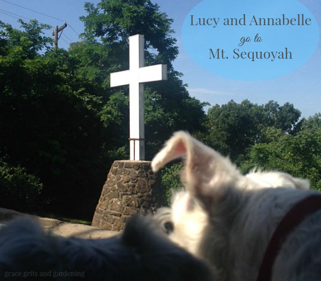 Lucy and Annabelle go to Mt. Sequoyah