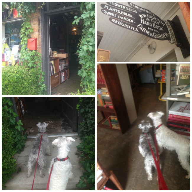 Lucy and Annabelle go to the Curious Book Shoppe