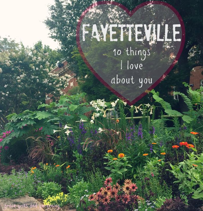 Fayetteville - 10 things I love about you