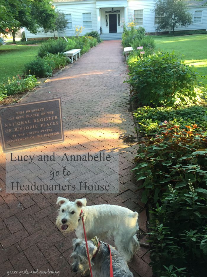 Lucy and Annabelle go to Headquarters House