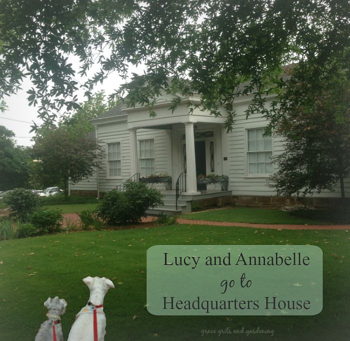 Lucy and Annabelle go to Headquarters House, Fayetteville, Ar