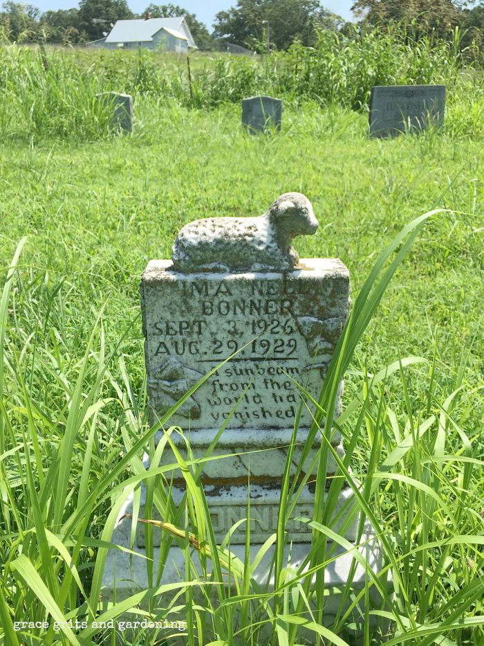Baby Grave - Norfork, Ar