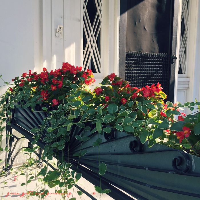 chasing summer - planter box at Headquarter's House