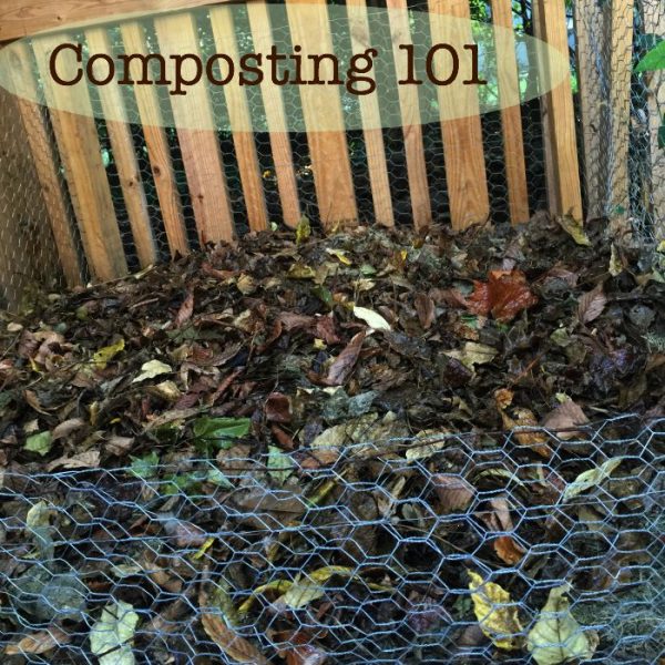 Magic in the Decay Composting My Way grace grits and gardening