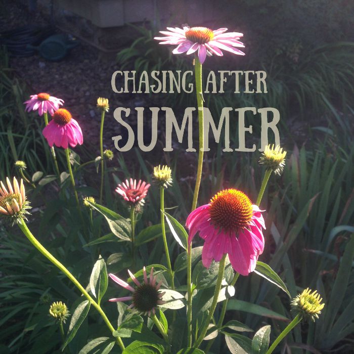 Chasing after summer