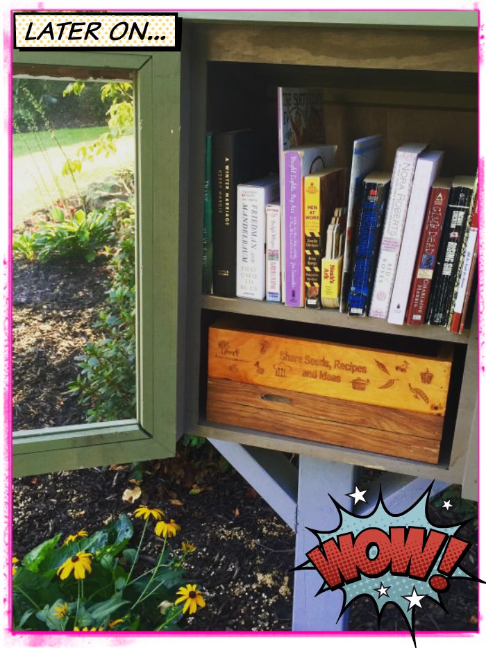 our Little Free Library