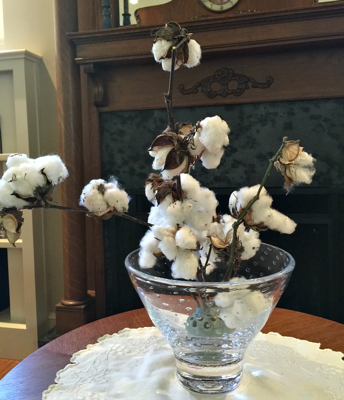cotton arrangement