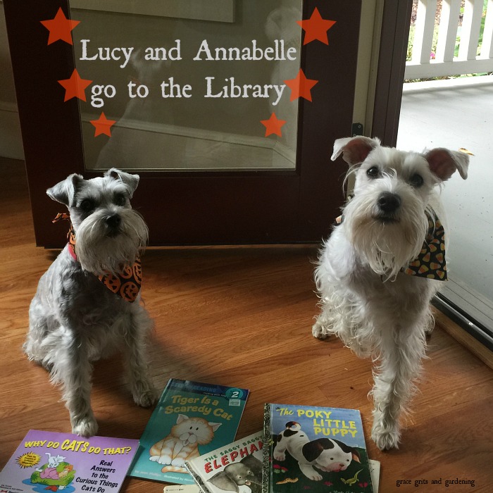 Lucy and Annabelle go to the Library