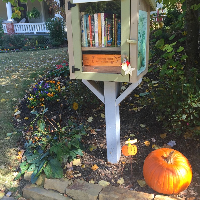 Our Little Free Library