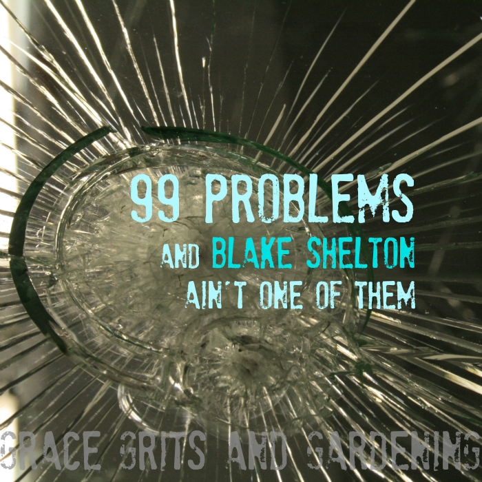 99 Problems and Blake Shelton ain't one of them