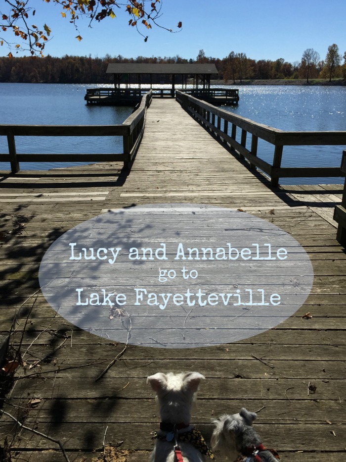 Lucy and Annabelle go to Lake fayetteville