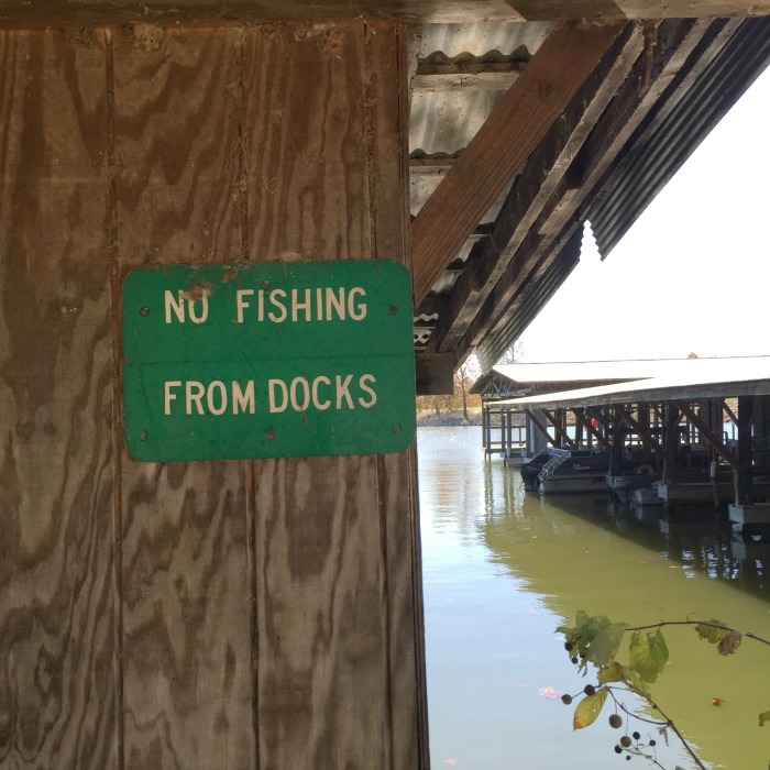 No fishing from docks.
