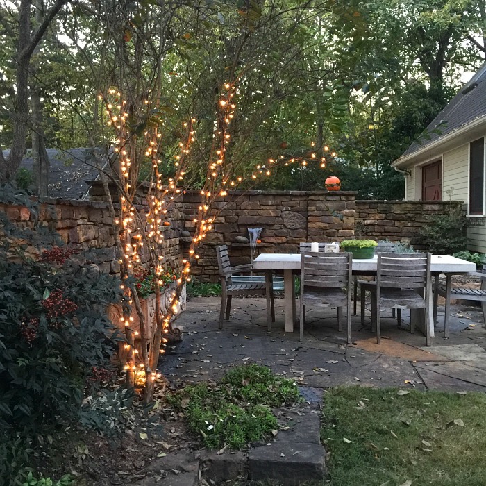 twinkle lights in the back yard
