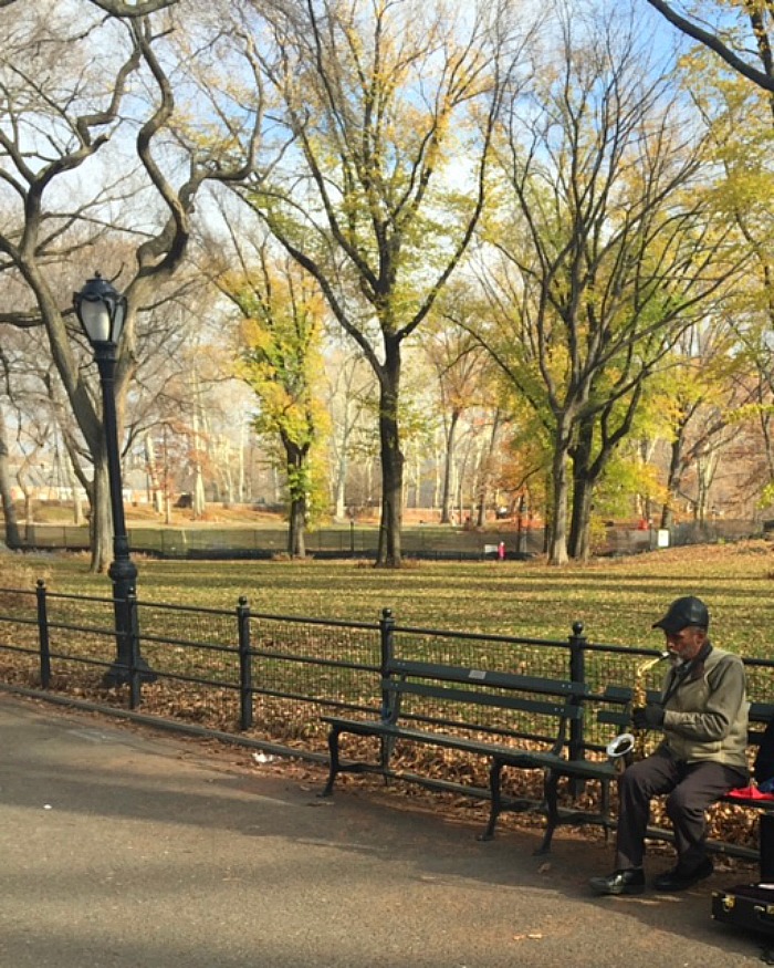 Sax Player in Central Park
