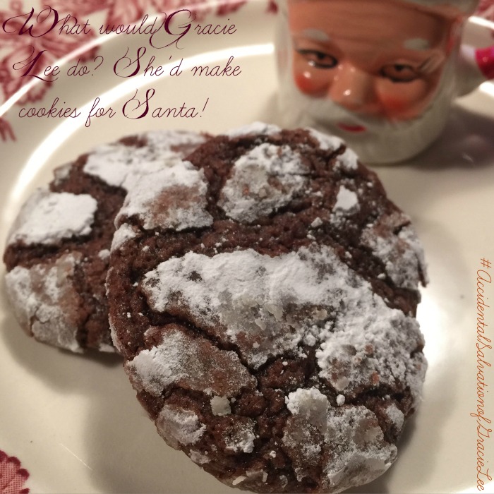 Gracie Lee's favorite cookie - chocolate crinkles