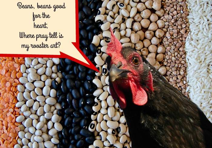 bean rooster art