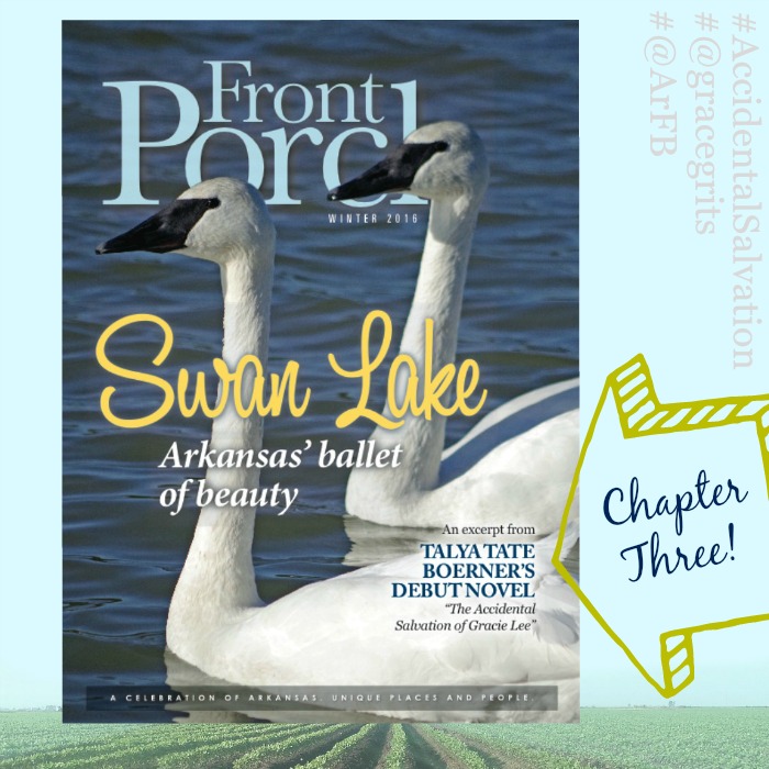 read an excerpt of my novel, The Accidental Salvation of Gracie Lee, in the Winter 2016 issue of Front Porch Magazine!