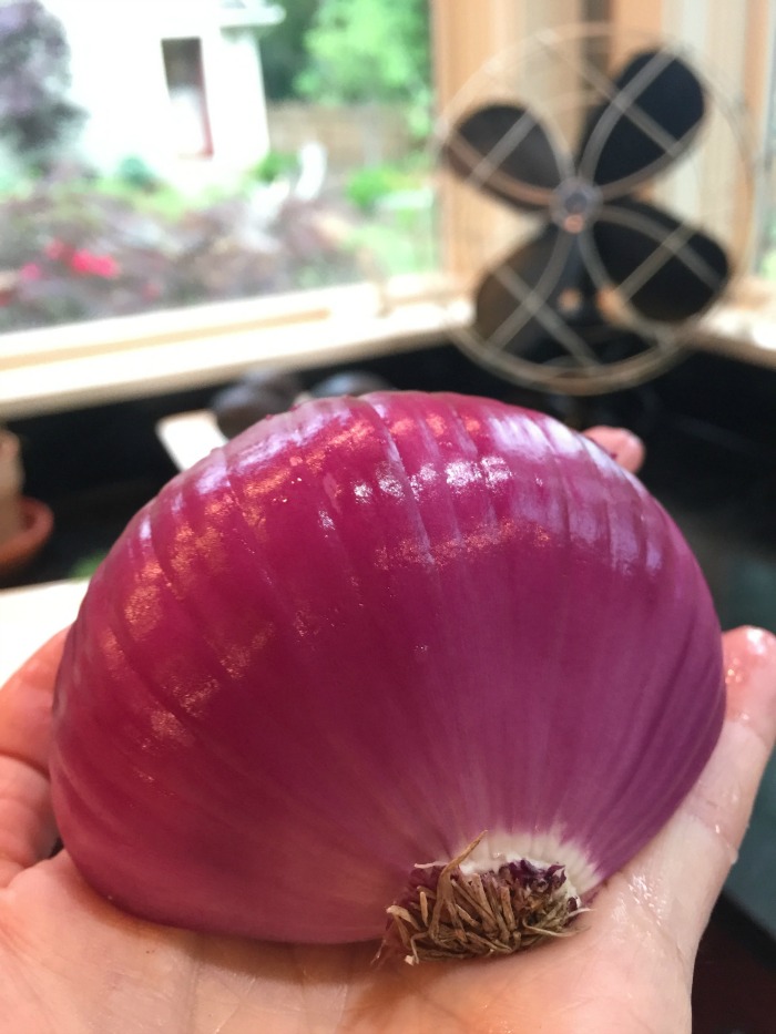 purple onion - gorgeous and healthy!