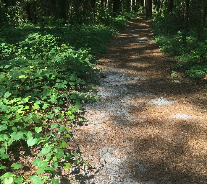 Hike a new trail