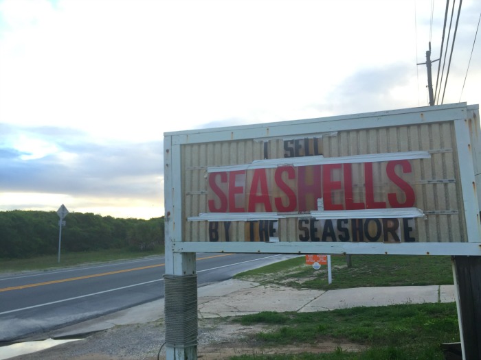 she sells seashells