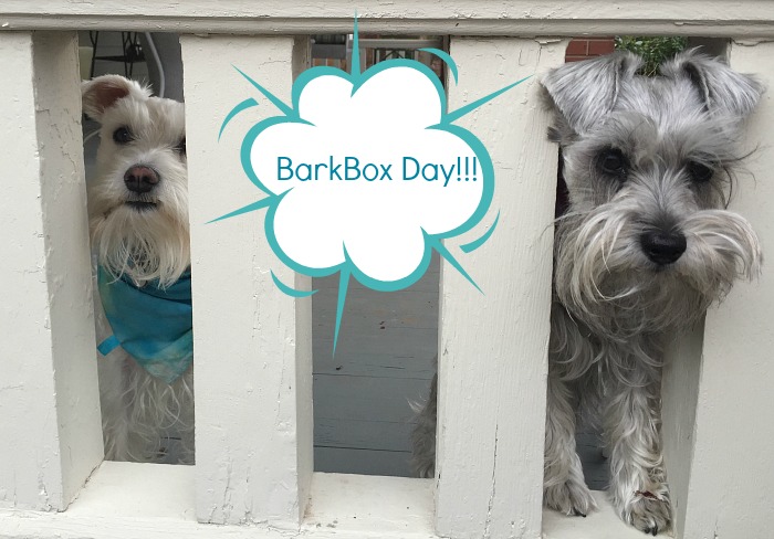 BarkBox Day!!!